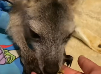 D2603001 They were treated like nothing… now they mean everything (Part 2)