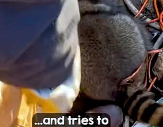 I2703002 She begs for help with pleading eyes (Part 2)