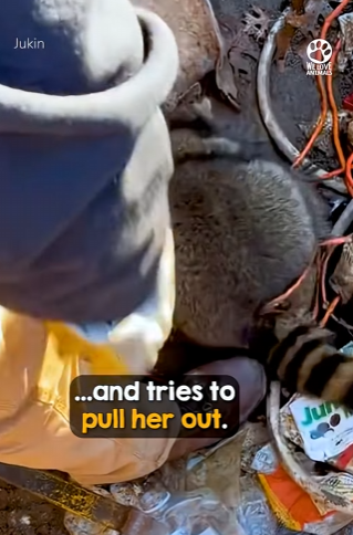 I2703002 She begs for help with pleading eyes (Part 2)