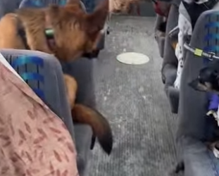 I2703004 Is this what heaven looks like？ (Part 2)