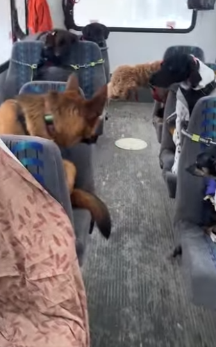 I2703004 Is this what heaven looks like？ (Part 2)