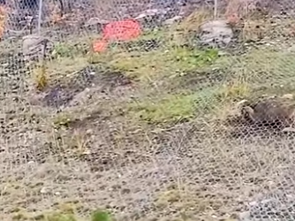 I2703006 The moment she realizes she’s free (Part 2)