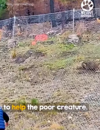 I2703006 The moment she realizes she’s free (Part 2)