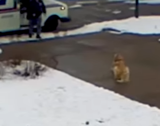 I2703003 So cute 🥹🥹 (Part 2)