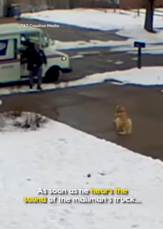 I2703003 So cute 🥹🥹 (Part 2)