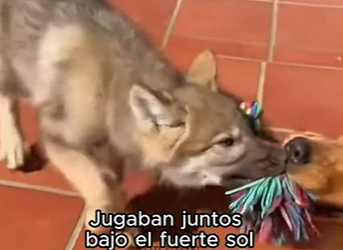 L1803007 Final increíble.. (Part 2)