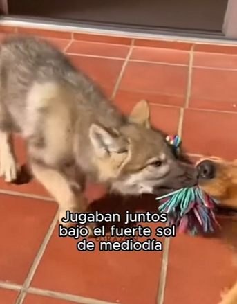 L1803007 Final increíble.. (Part 2)