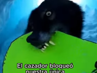 L1803012 Final increíble.. (Part 2)