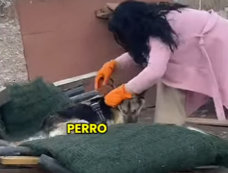 M3103007 Aqui esta saliendo de su infierno 😭 (Part 2)