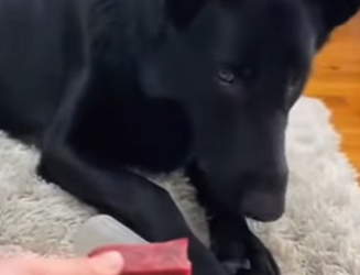 L1803010 Subscribir! (Part 2)