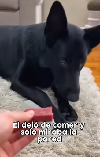 L1803010 Subscribir! (Part 2)