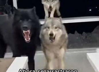 L1803006 Increíble.. (Part 2)