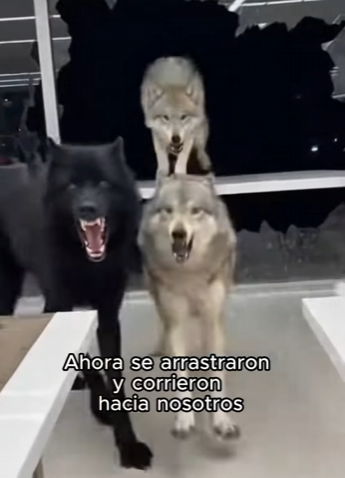 L1803006 Increíble.. (Part 2)