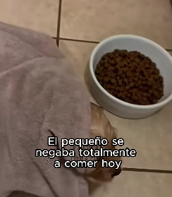 L1803009 Final increíble.. (Part 2)