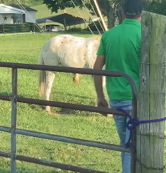 I2003006 Kindness and empathy ❤️❤️ (Part 2)