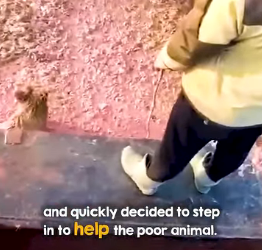 I2003005 Bravery and compassion 👏 (Part 2)