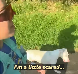 I2003003 She just wanted someone to choose her 😭❤️ (Part 2)