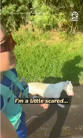 I2003003 She just wanted someone to choose her 😭❤️ (Part 2)