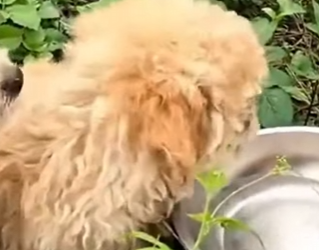 M2103002 🚨 “Nadie se detenía… mientras nosotros nos apagábamos bajo el sol” (Part 2)