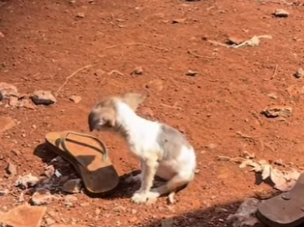 M2103010 No puedes comprar el (Part 2)