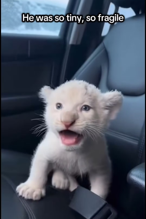 P2003008 He doesn’t need words to say thank you..I can feel it in every breath (Part 2)