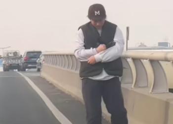 R2003003 A kitten was found on an overpass (Part 2)