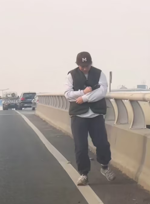 R2003003 A kitten was found on an overpass (Part 2)