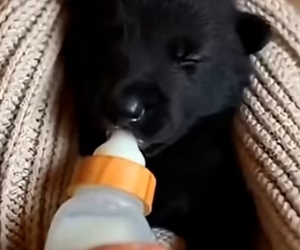 P2203004 The guilt of being born black and being easily noticed in the white of the arctic (Part 2)