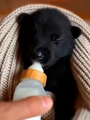 P2203004 The guilt of being born black and being easily noticed in the white of the arctic (Part 2)