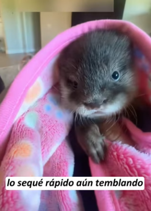 R2203011 A small creature suddenly appeared while my husband was swimming (Part 2)