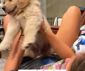 R2203010 I found a stray puppy on the roadside (Part 2)