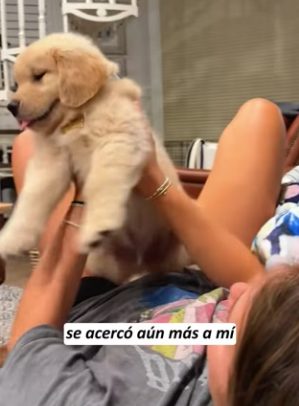 R2203010 I found a stray puppy on the roadside (Part 2)