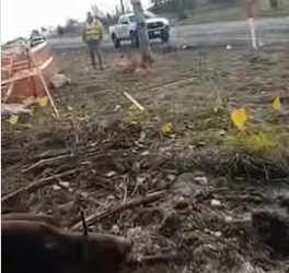 I2003012 The true meaning of protect and serve ❤️ (Part 2)