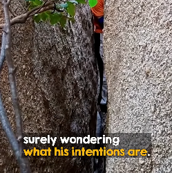 I2003008 Brave man climbs down narrow ravine after hearing cries for help (Part 2)