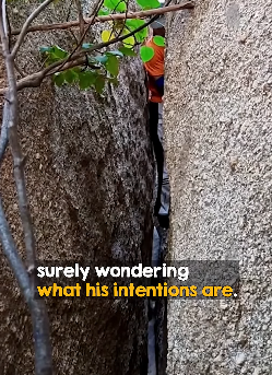 I2003008 Brave man climbs down narrow ravine after hearing cries for help (Part 2)