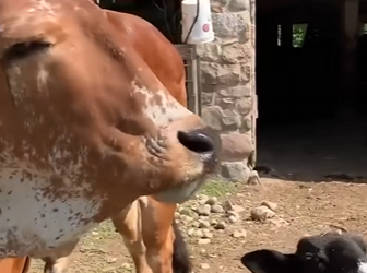 I2203004 Such a beautiful soul 🥹 thank you @OfficialSashaFarm (Part 2)