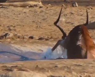 I2203001 Kindness saves lives ❤️ (Part 2)