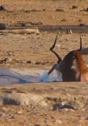 I2203001 Kindness saves lives ❤️ (Part 2)