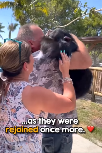 I2203003 Love knows no species ❤️ (Part 2)