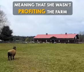 I2203002 The way they all run over to her, like ‘you’re safe now, we’ll love you (Part 2)