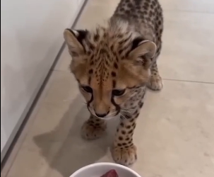 A mother’s sacrifice is never in vain (Part 2)