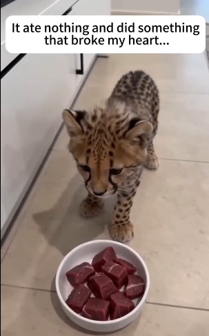 A mother’s sacrifice is never in vain (Part 2)