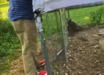 I2303009 Responding with compassion ❤️ (Part 2)