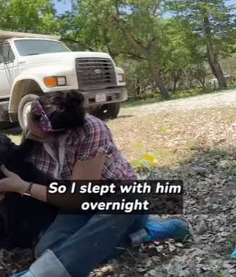 I2303012 Rescuing a baby bull and ending up with a giant best friend ❤️ (Part 2)