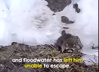 I2303004 ne brave man jumped into the freezing water to save him 🙏👏 (Part 2)