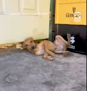 I2303007 Such an incredible transformation 🥹 (Part 2)