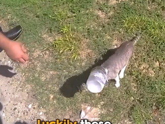 I2303010 The true meaning of protect and serve ❤️ (Part 2)