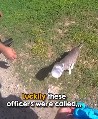 I2303010 The true meaning of protect and serve ❤️ (Part 2)