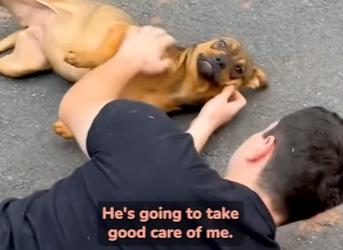 I2303011 Those happy little skips when she realizes someone wants to hang out with her 😭 (Part 2)