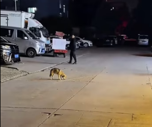 A2303007 I hope he recovers soon (Part 2)